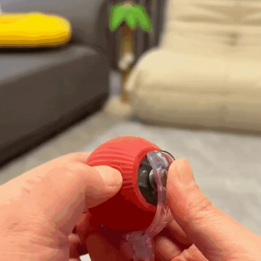 PELOTA INTERACTIVA-Mascotas Felices Siempre😺