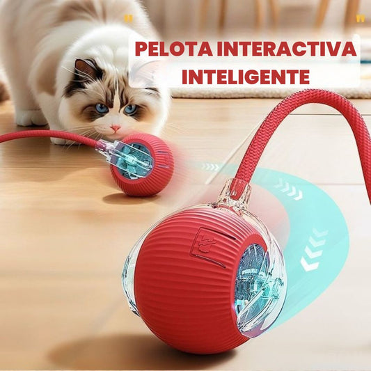PELOTA INTERACTIVA-Mascotas Felices Siempre😺