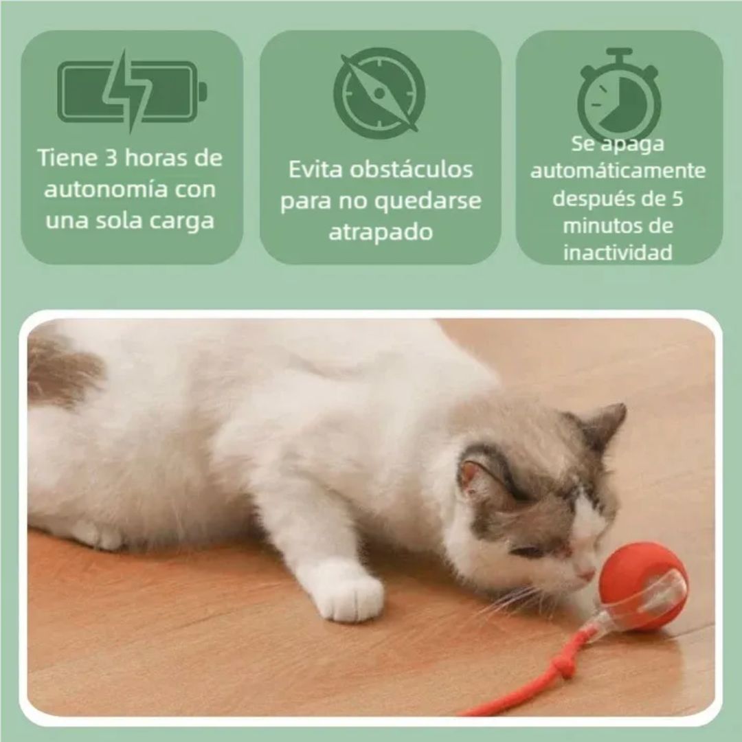 PELOTA INTERACTIVA-Mascotas Felices Siempre😺