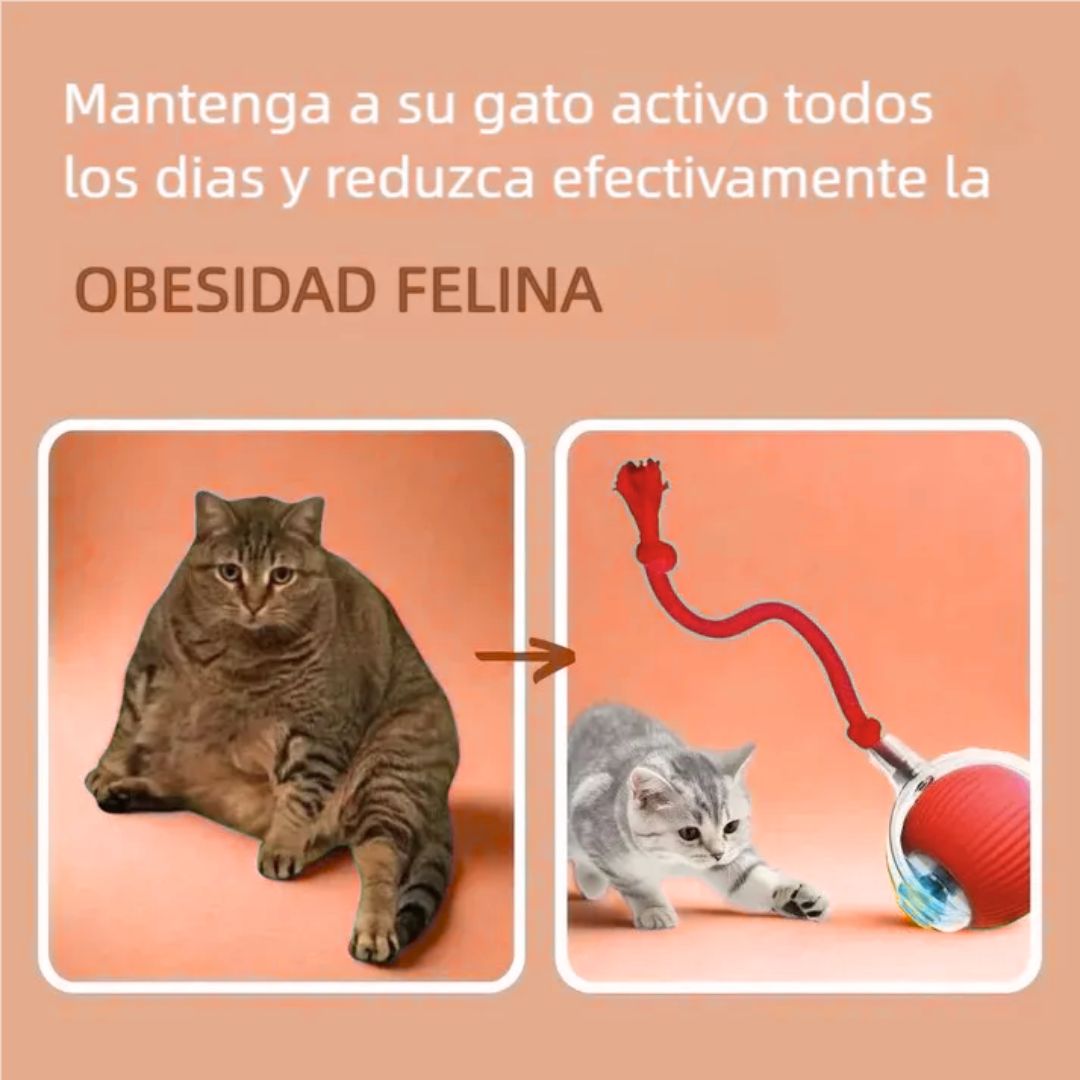PELOTA INTERACTIVA-Mascotas Felices Siempre😺
